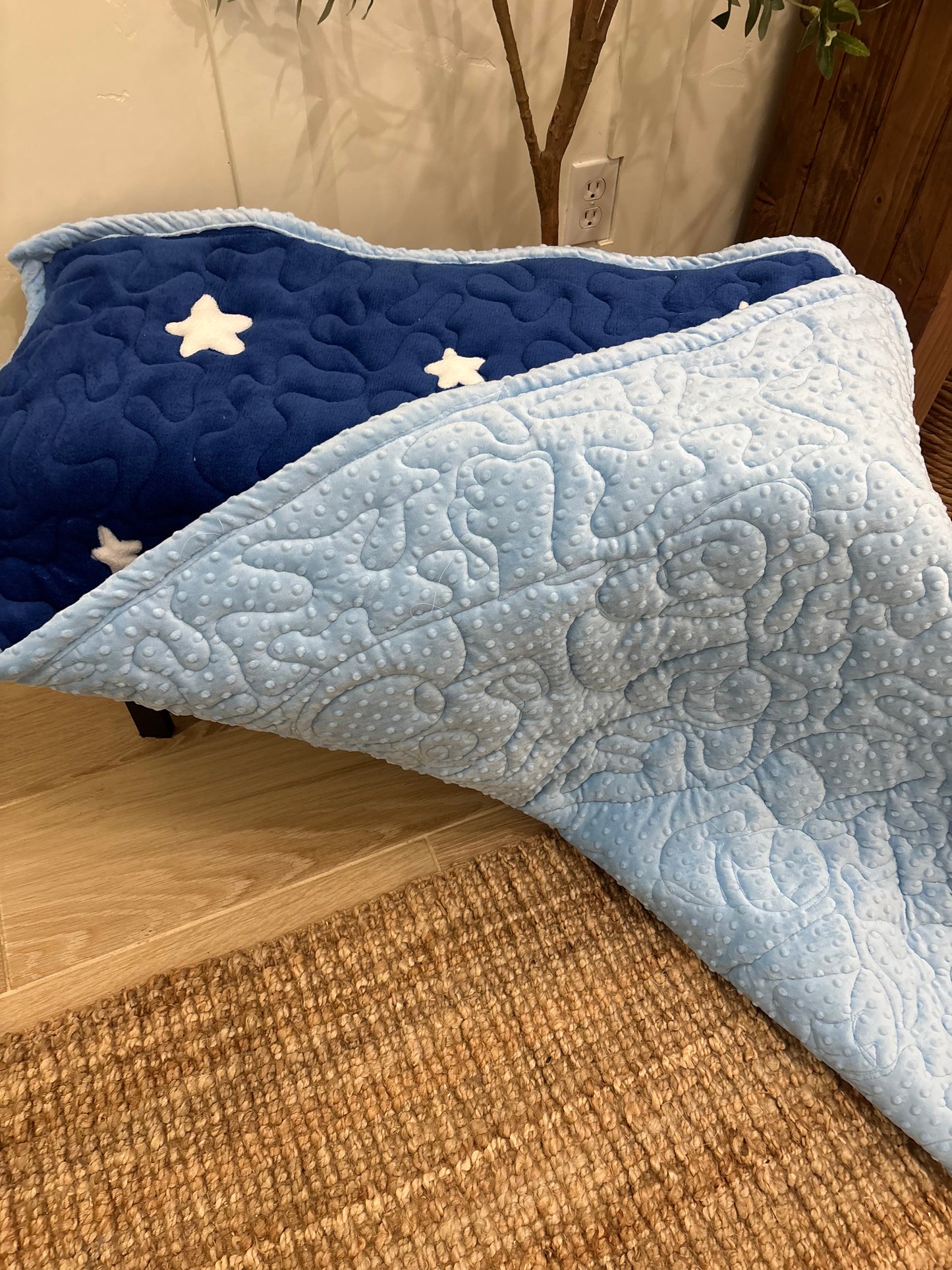 πβ¨
Bluey Minky Blanket