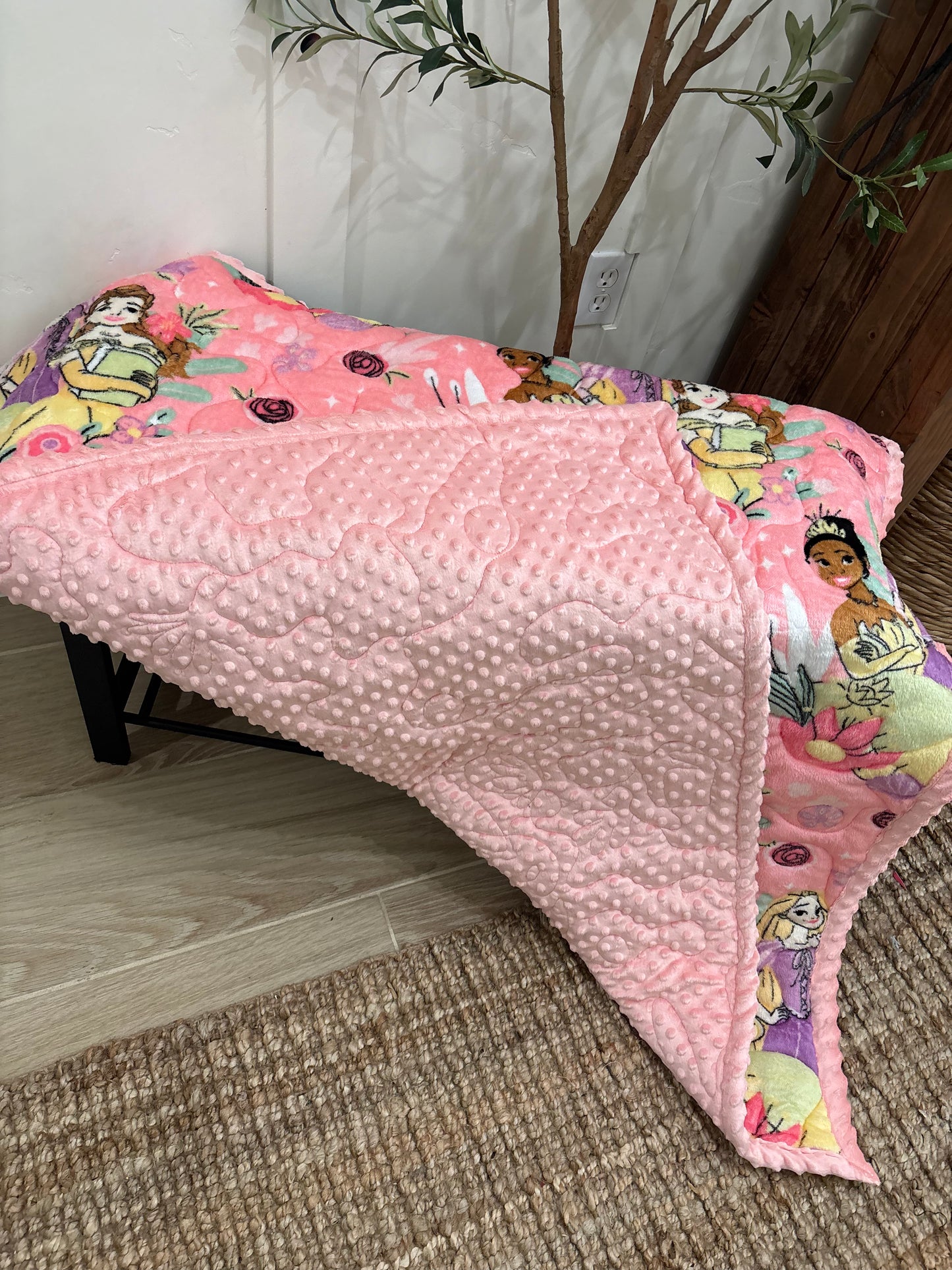 πβ¨
Princess Minky Blanket