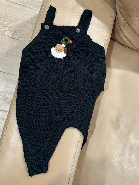 DOND Black Mallard 🦆 Duck romper