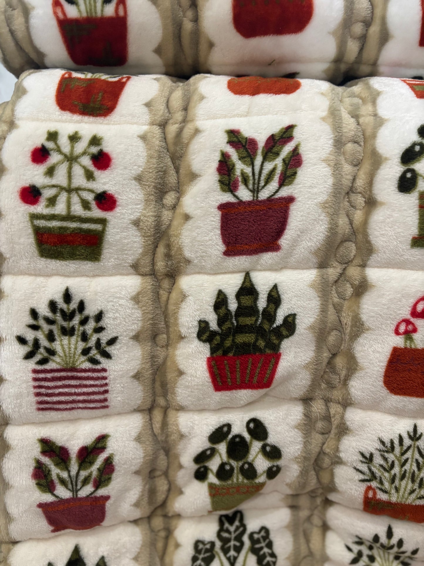 🌿🪴 House Plant Minky Blanket 💚