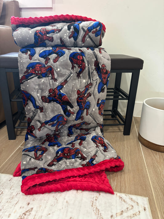 Spider-Man Adventures | Handmade Minky-Backed Quilt