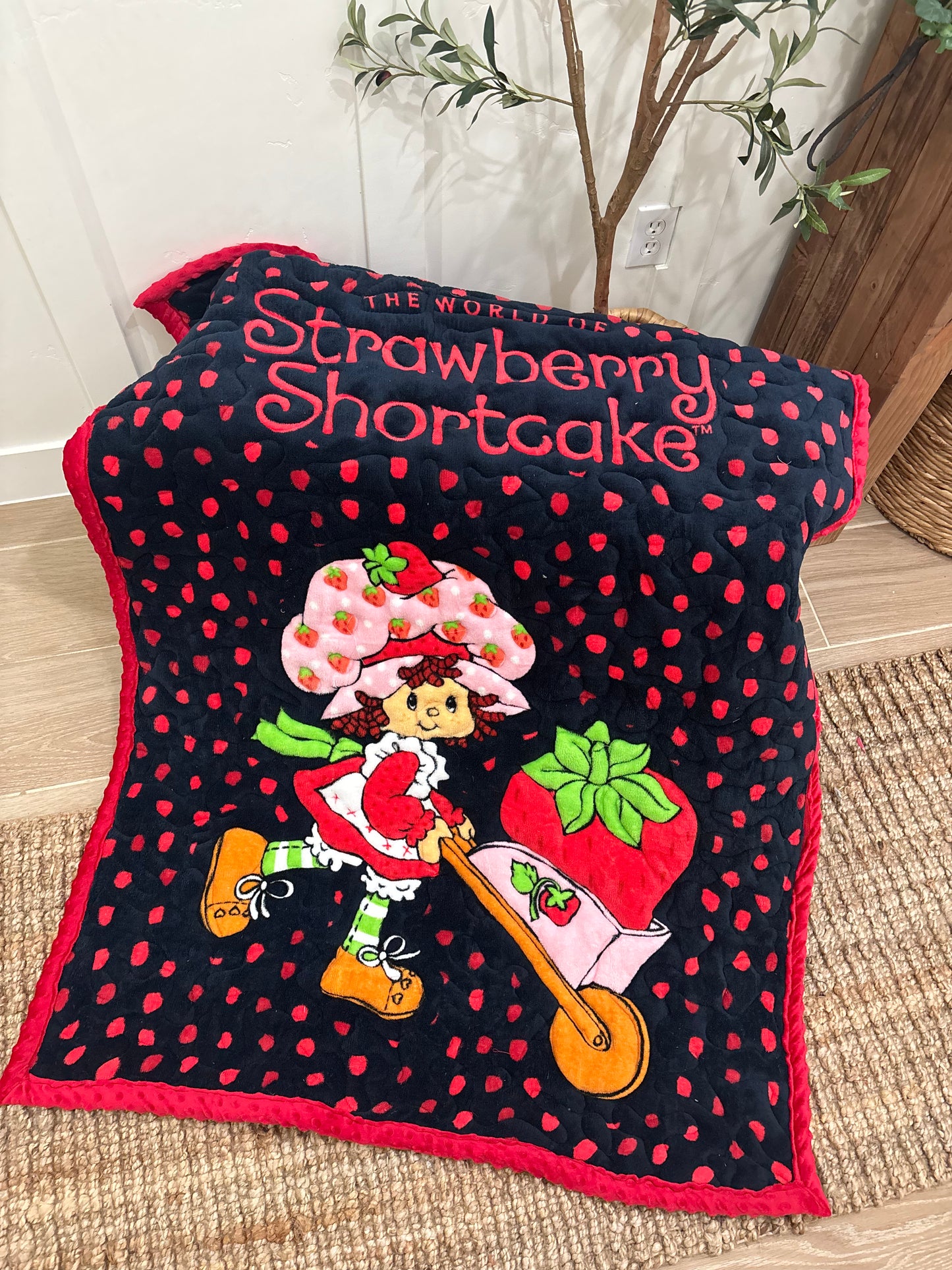 🍓💕
Strawberry Shortcake Minky Blanket